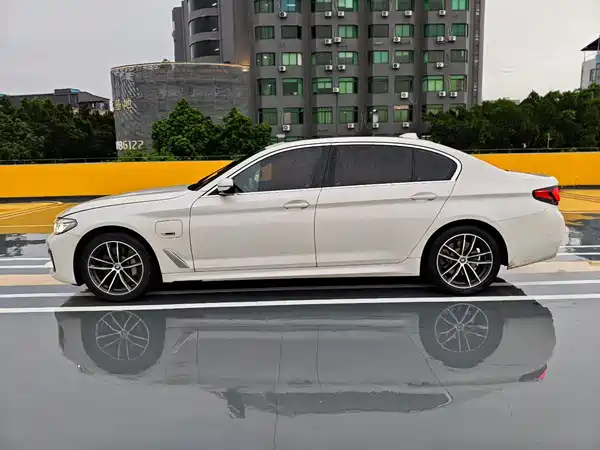 BMW 5 Series New Energy 2021