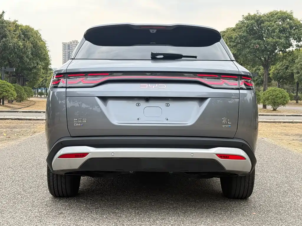 BYD L DM-i 2025 — фото 19