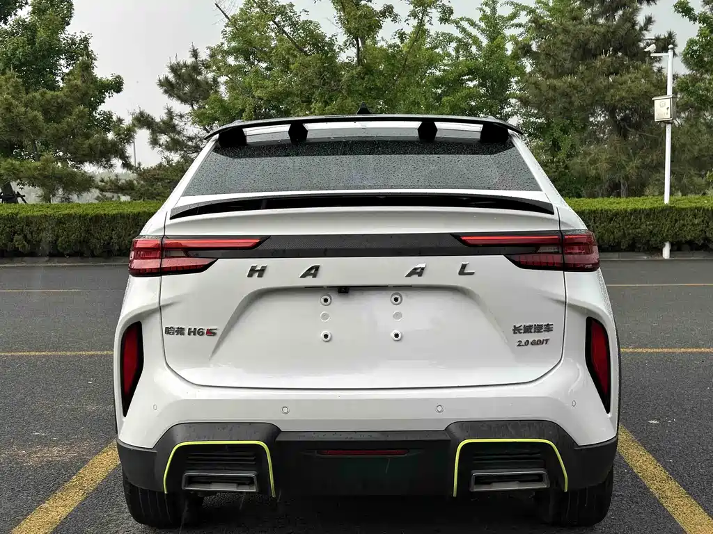 Haval H6S 2021 — фото 11