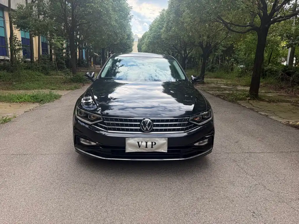 Volkswagen Magotan 2024