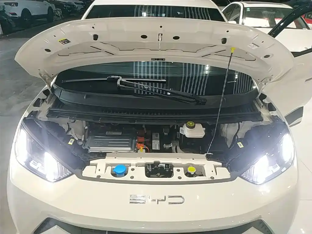 BYD Seagull 2023 — фото 20