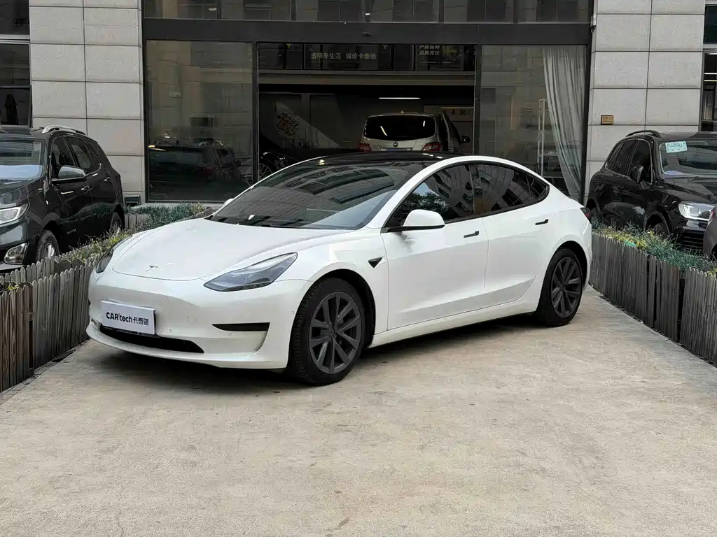 Tesla Model 3 2021 — фото 1