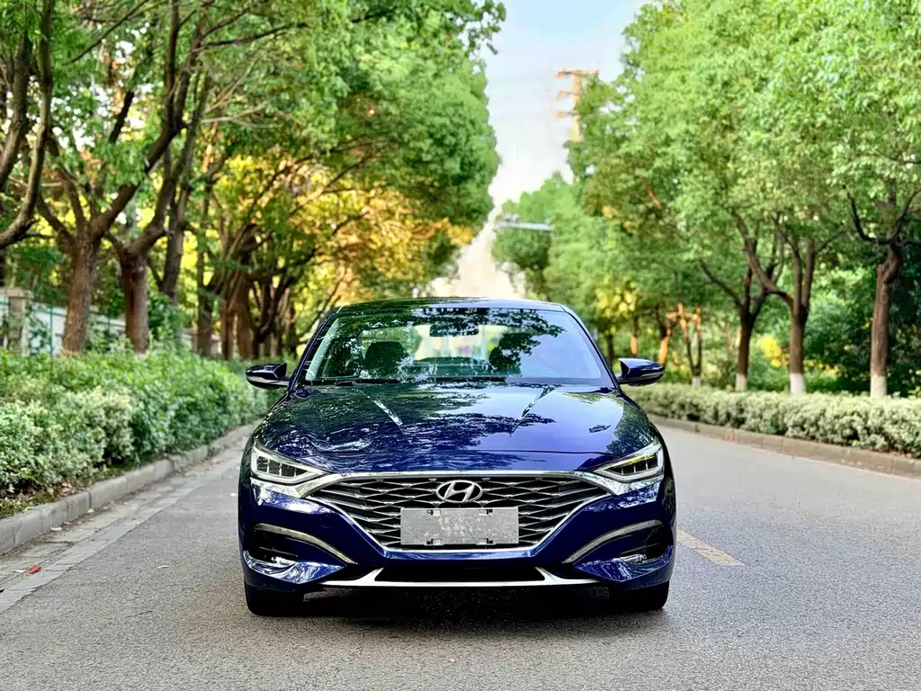 Hyundai Fista 2019 — фото 2