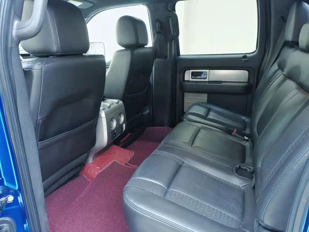Ford F-150 Raptor 2015 — фото 19