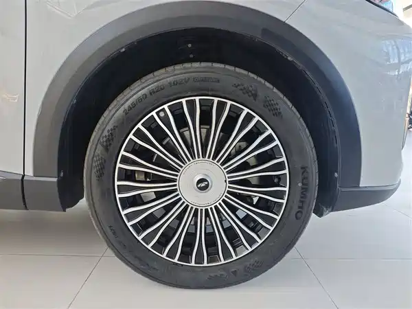 Chery Fengyun T9 2024