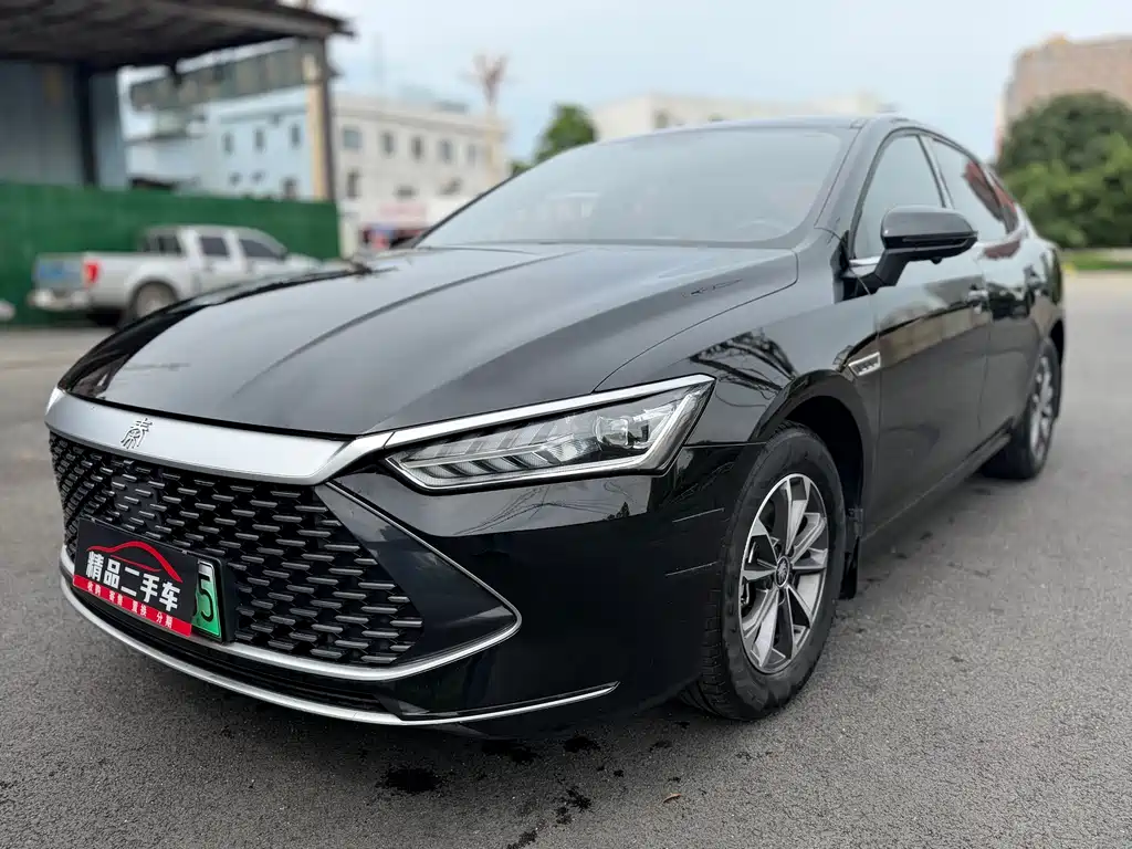 BYD Qin PLUS 2024 — фото 1