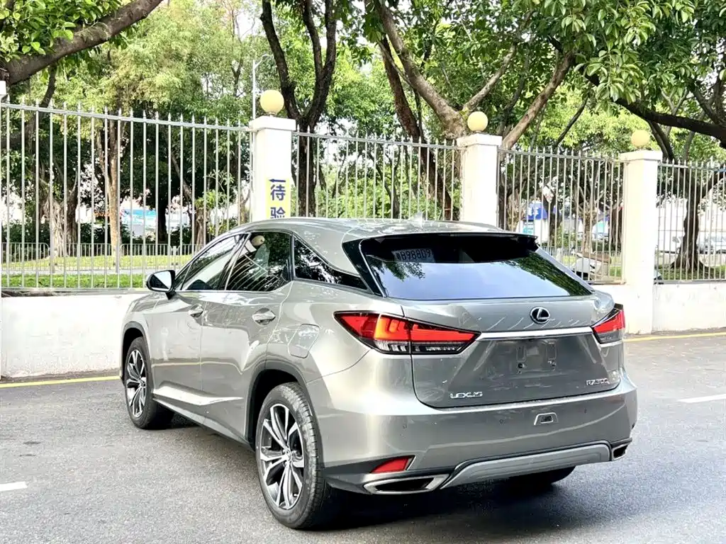 Lexus RX 2020 — фото 9