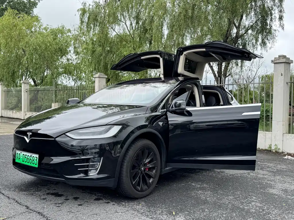 Tesla Model X 2019 — фото 15