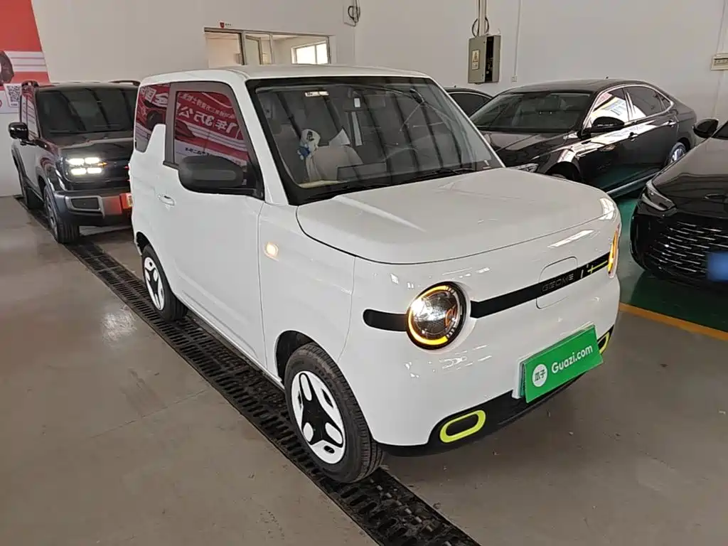 Galaxy Panda 2025