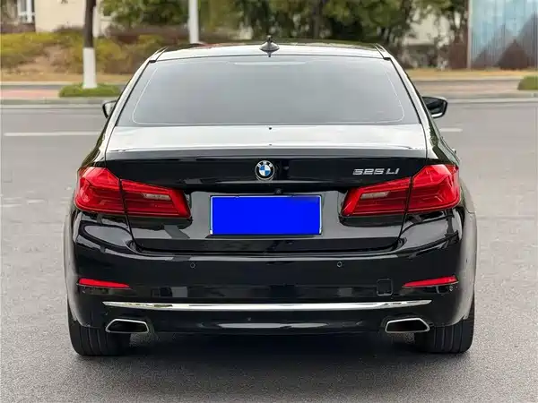 BMW 5 Series 2019
