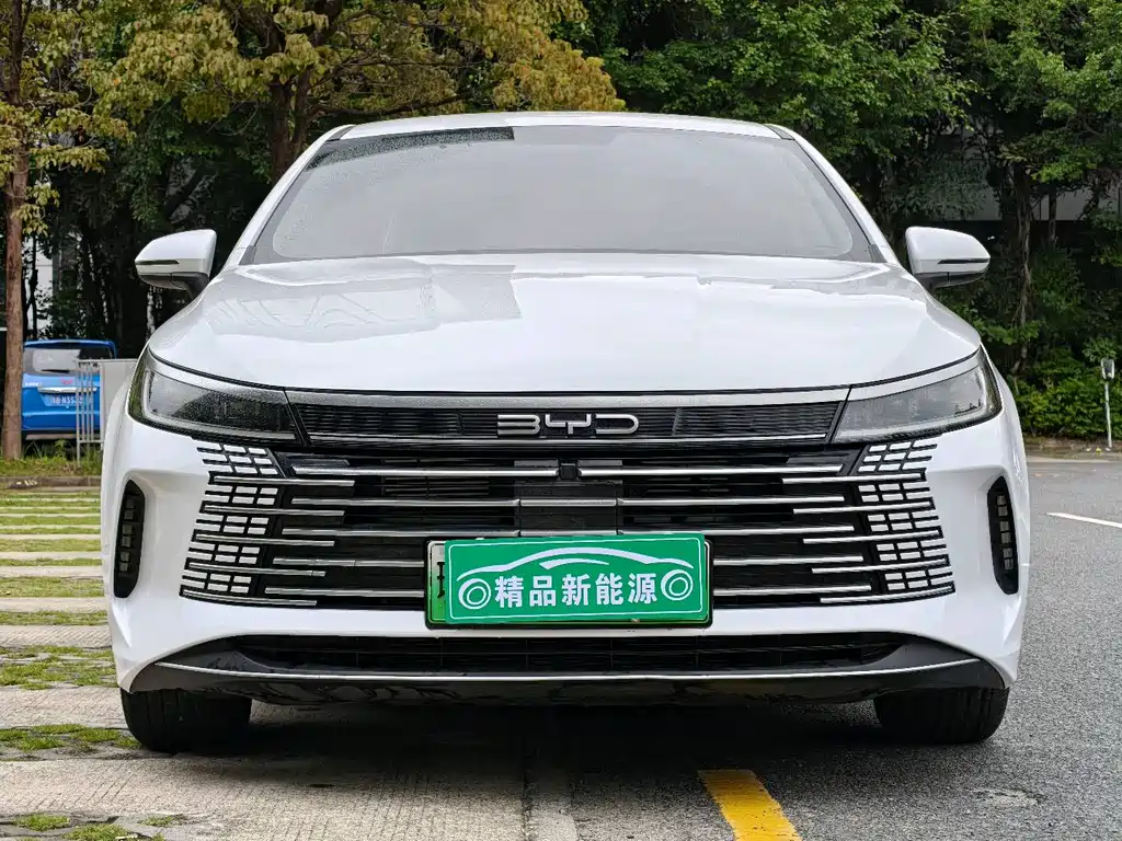 BYD Destroyer 05 2024 — фото 2