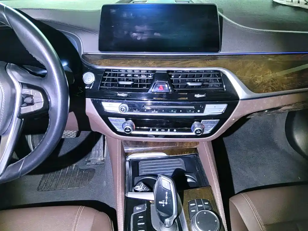 BMW 5 Series 2019 — фото 13