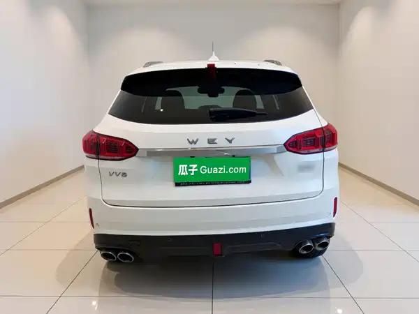 Wey VV6 2020