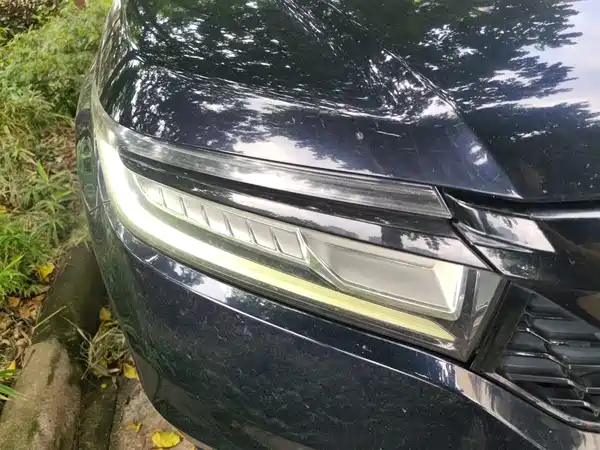 Honda Avancier 2019
