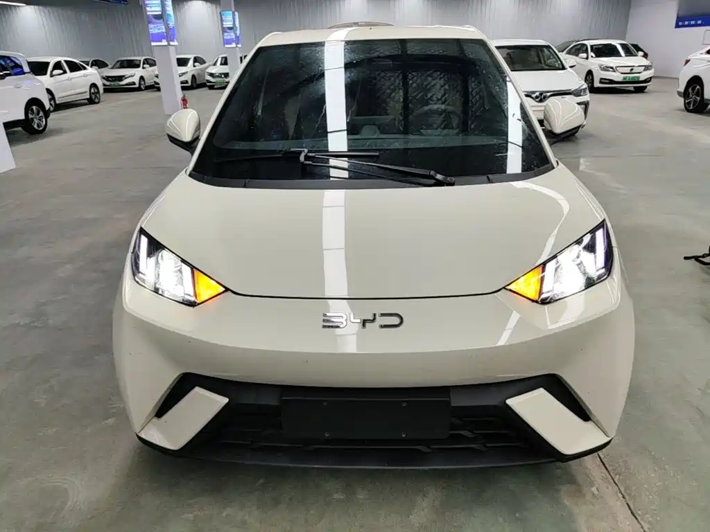 BYD Seagull 2024