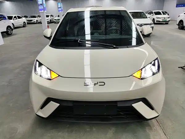 BYD Seagull 2024