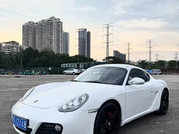 Porsche Cayman 2010