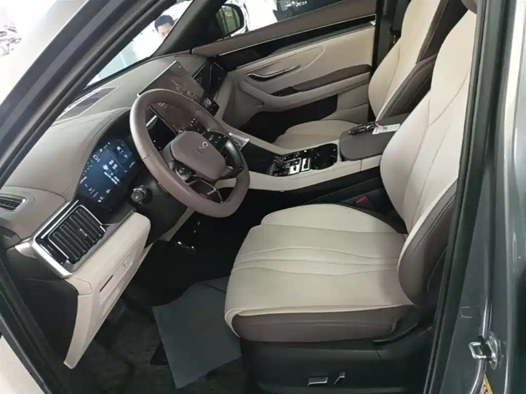 BYD PLUS New Energy 2025 — фото 15