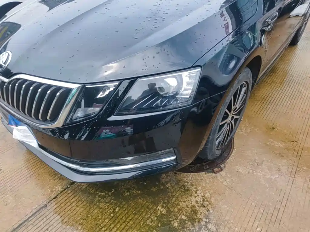 Skoda Octavia 2019 — фото 24