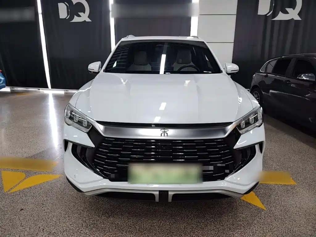 BYD Pro New Energy 2023 — фото 3