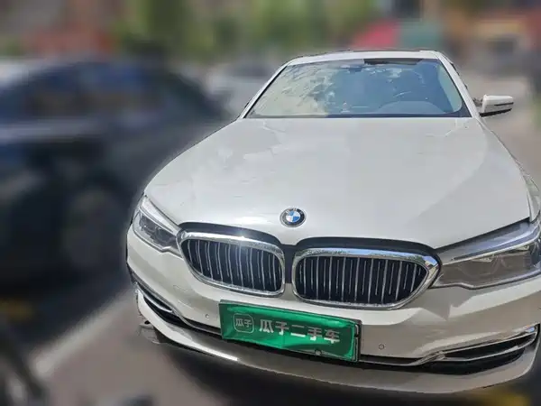 BMW 5 Series New Energy 2020