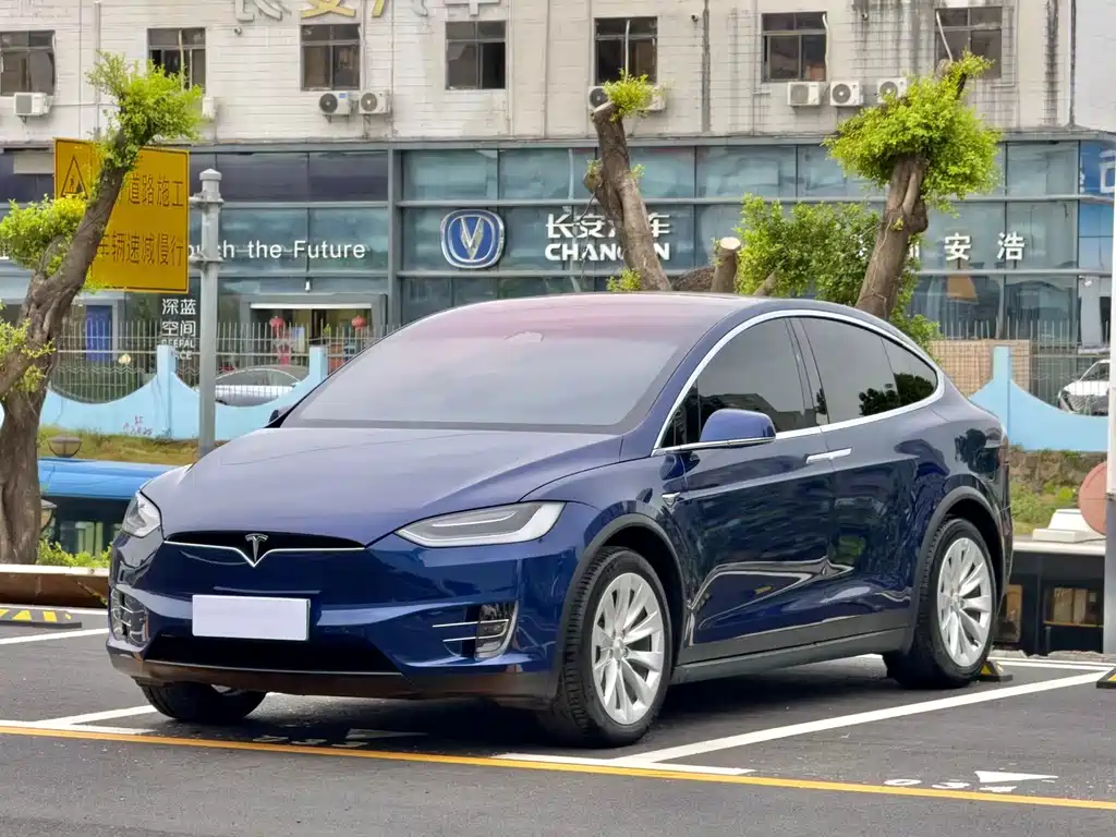 Tesla Model X 2020 — фото 1