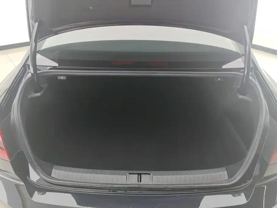 Volkswagen Magotan 2021