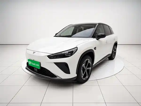 Neta L 2024