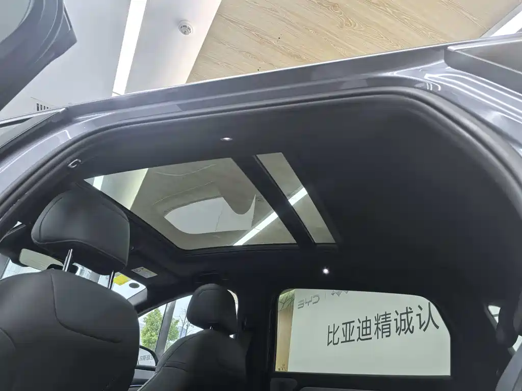 BYD L DM-i 2025 — фото 13