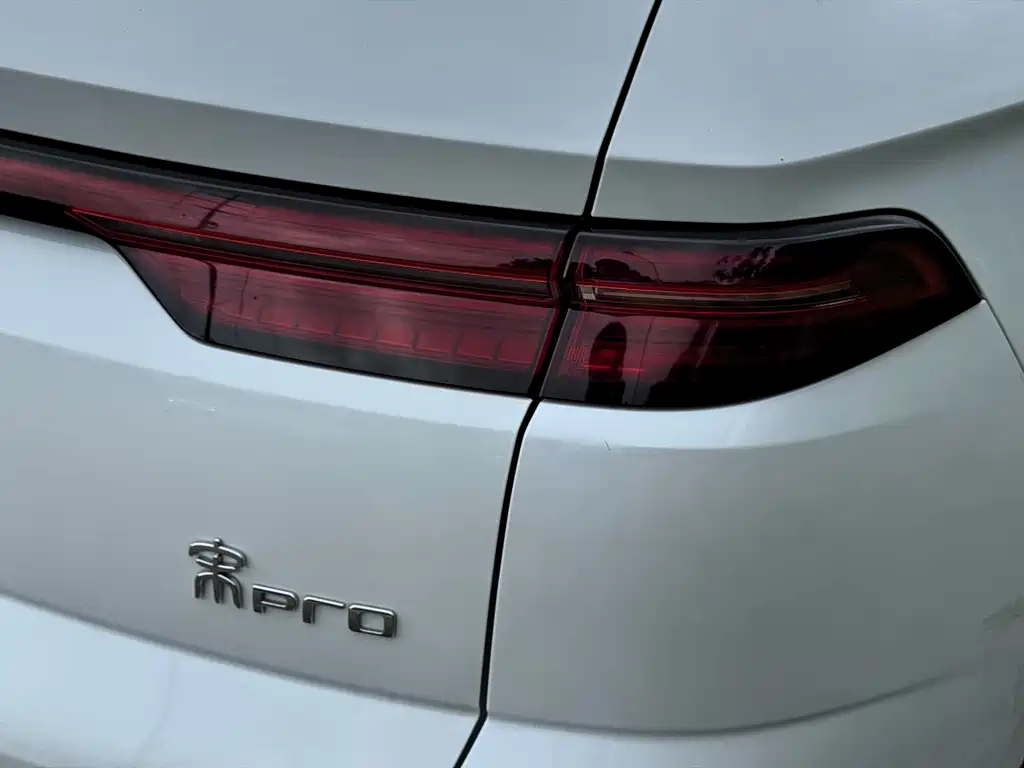 BYD Pro New Energy 2024 — фото 10
