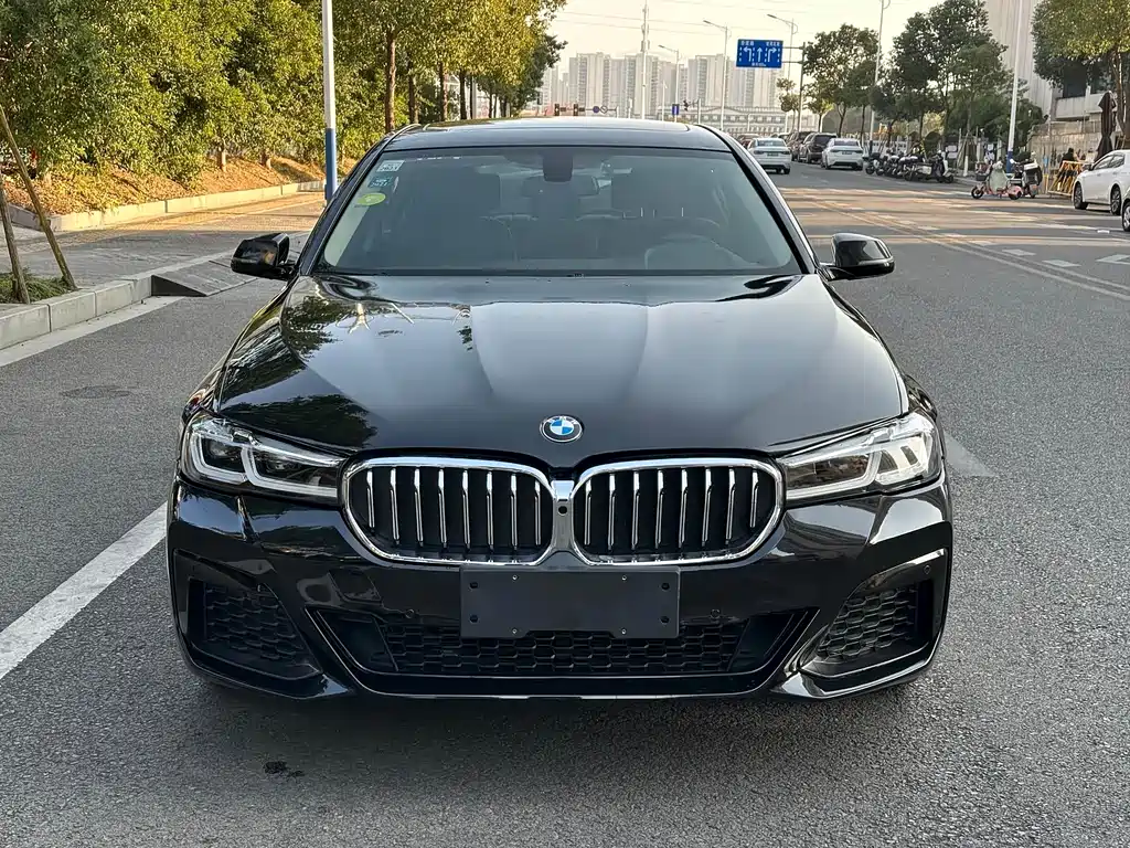 BMW 5 Series 2015 — фото 13