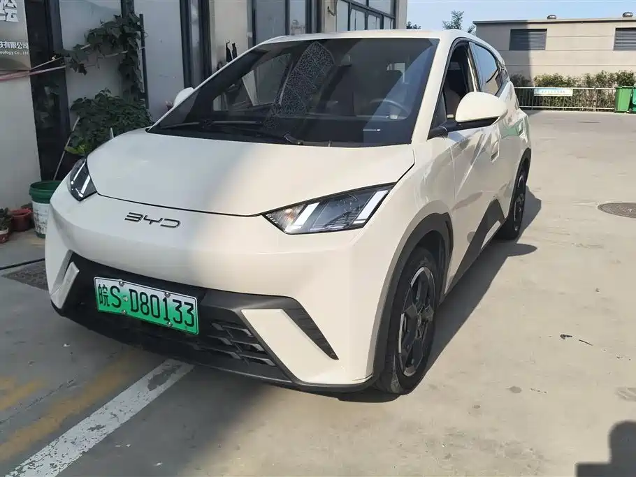 BYD Seagull 2024