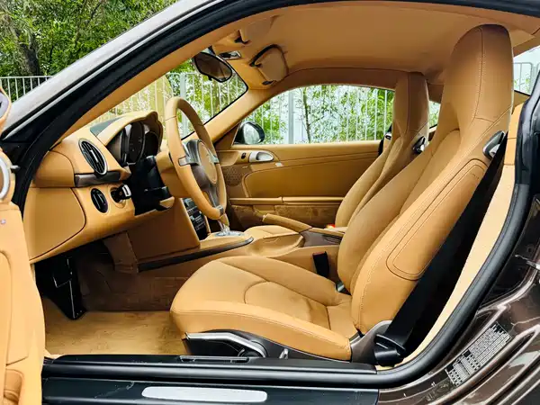 Porsche Cayman 2009