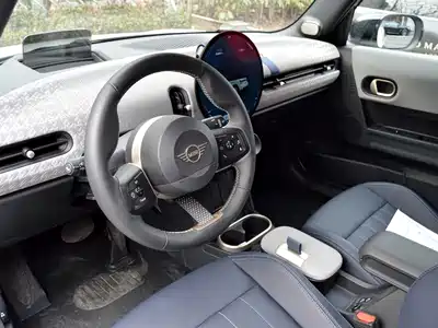 MINI MINI 2025