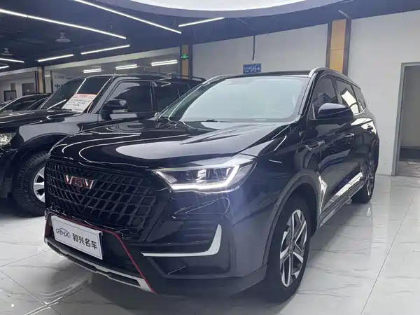 SINOTRUK VGV U75PLUS 2021