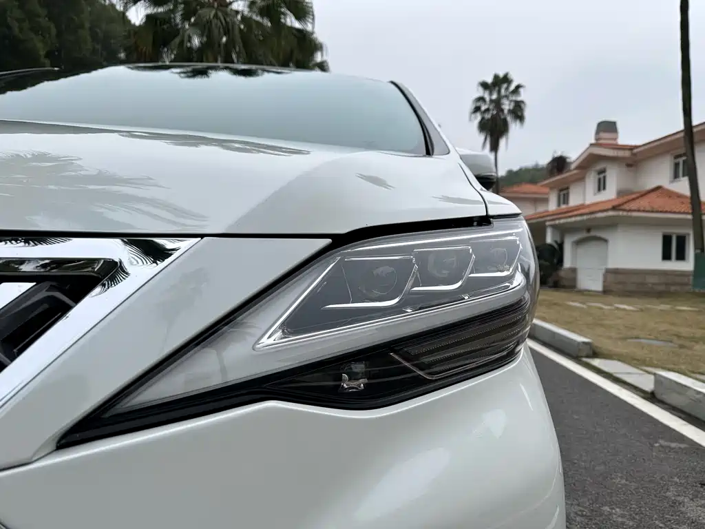 Lexus LM 2020 — фото 26