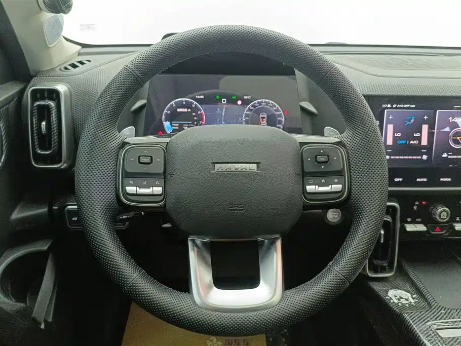 Haval Big Dog 2021 — фото 15