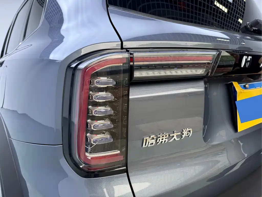 Haval Big Dog 2023 — фото 11