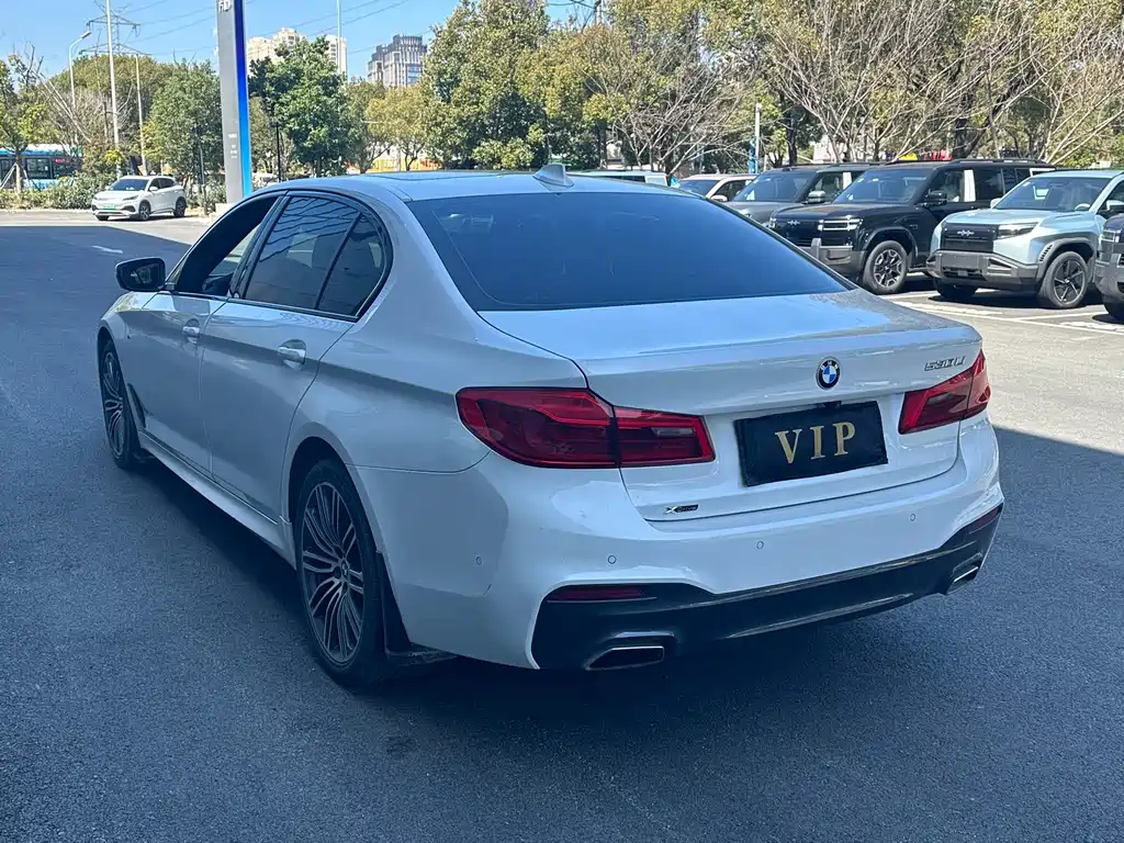 BMW 5 Series 2018 — фото 9