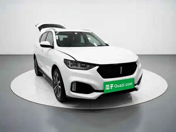 Wey VV6 2019