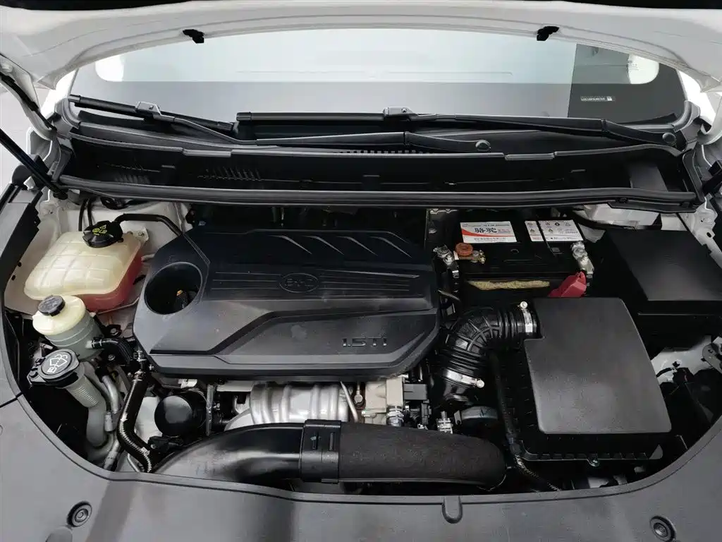 BYD MAX 2021