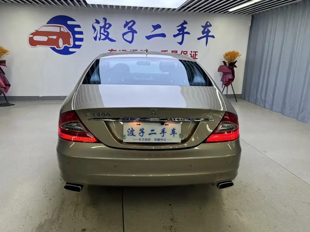 Mercedes-Benz CLS 2010 — фото 19