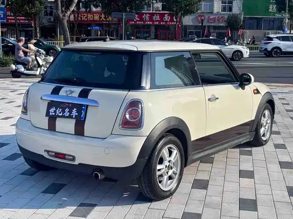 MINI 2013