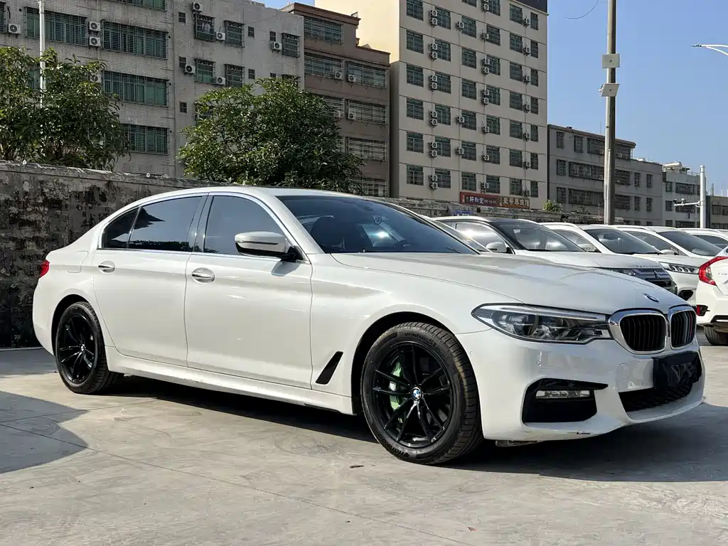 BMW 5 Series 2018 — фото 12