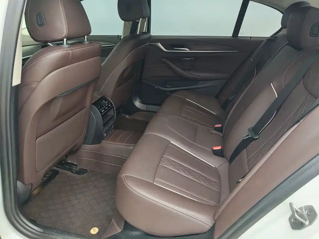 BMW 5 Series New Energy 2021