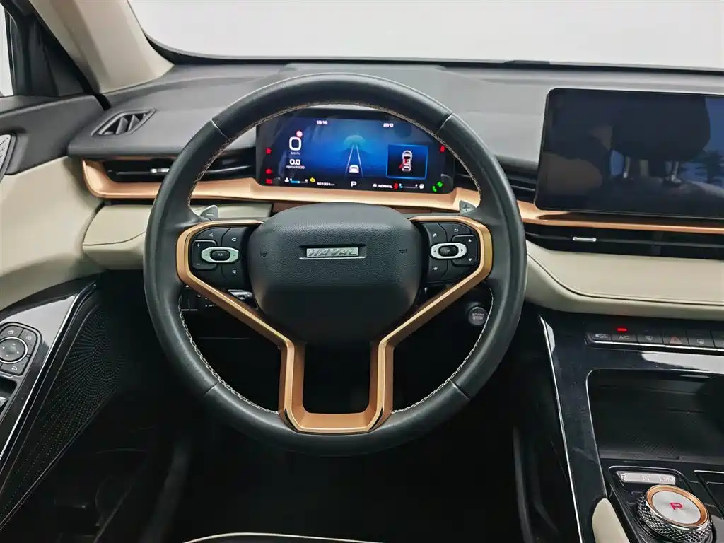 Haval H6 2021 — фото 11