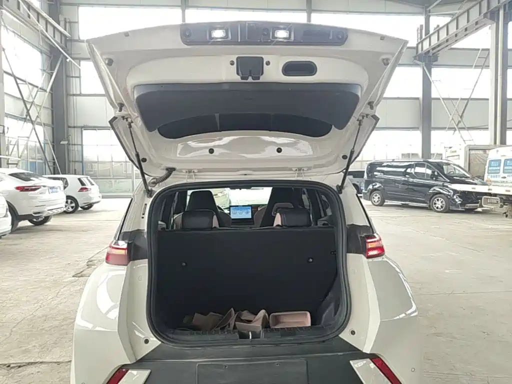 BYD Seagull 2025 — фото 19