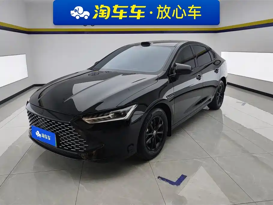 BYD Qin PLUS 2024 — фото 1