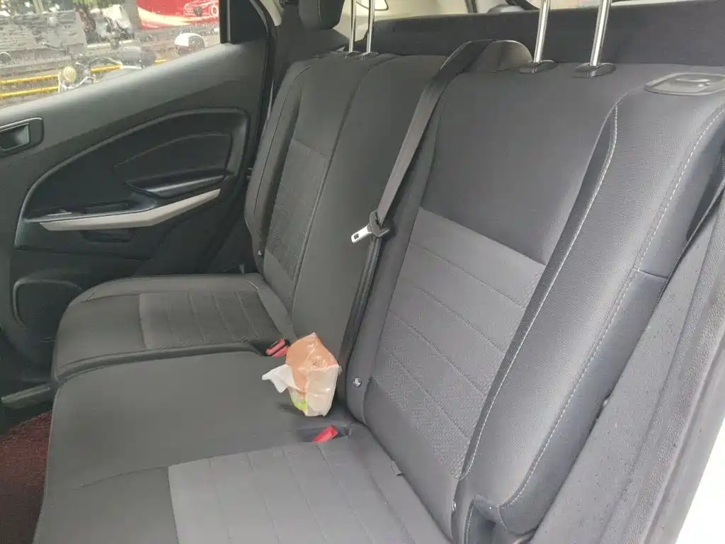 Ford Ecosport 2018 — фото 15