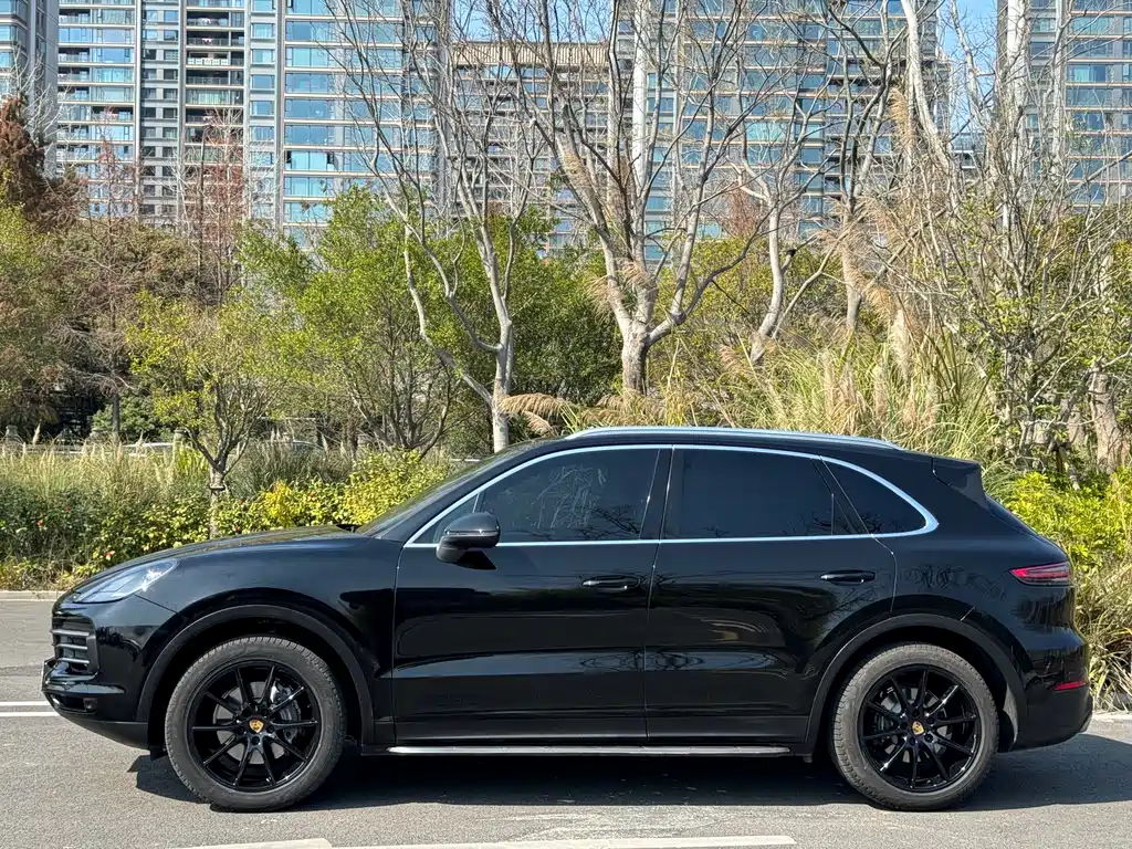 Porsche Cayenne 2019 — фото 19